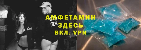 сатива Алзамай