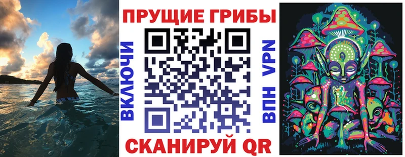 Псилоцибиновые грибы ЛСД  Купить закладки  Козьмодемьянск 